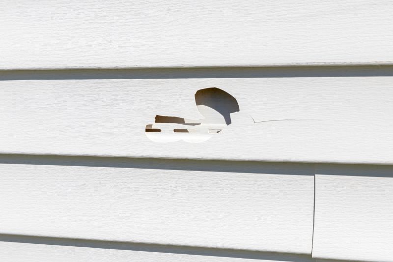 Damaged Siding Panel