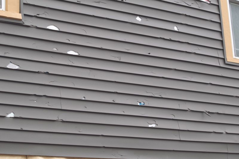 Professional Siding Inspection